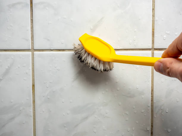 Best Local Mold Removal Service  in King, NC