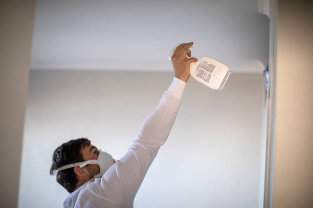 Best Toxic Mold Removal  in King, NC