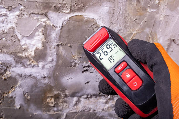 Best Attic Mold Removal  in King, NC